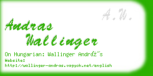 andras wallinger business card